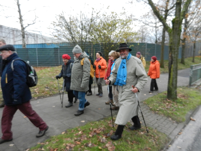2017 gruenkohl7