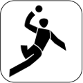 TVF-Sport-Logo5
